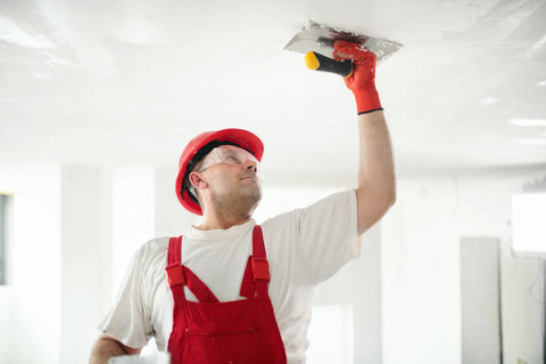 Best Ceiling Drywall Installation  in Travis Ranch, TX