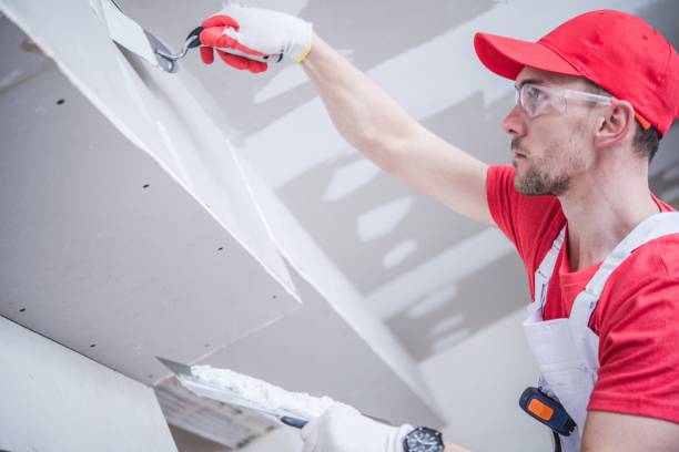 Best Commercial Painting  in Travis Ranch, TX